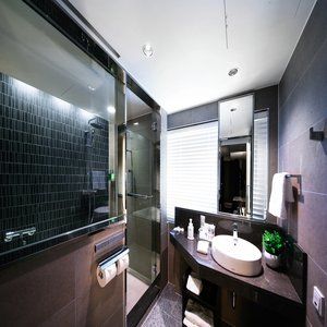 酒店 首尔明洞索拉利亚西铁酒店 3*